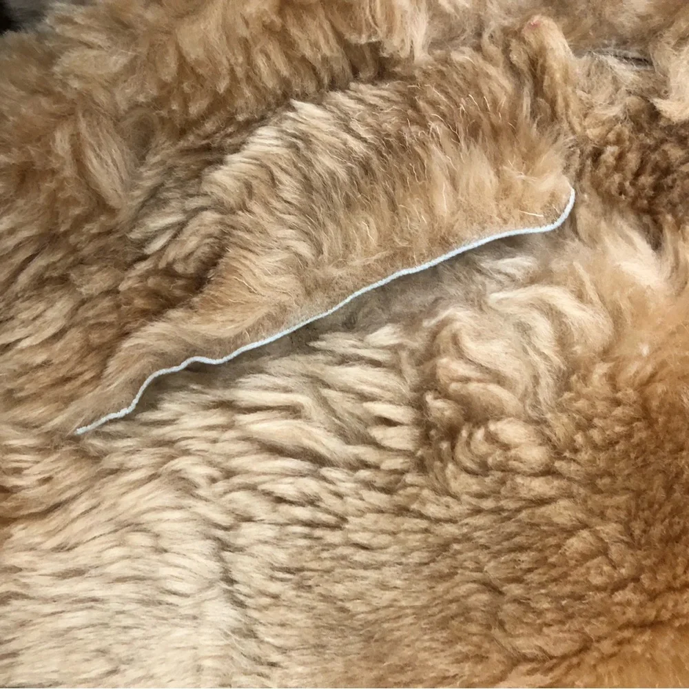 Tan Shearling and Leather Coat - Picture 6 of 7